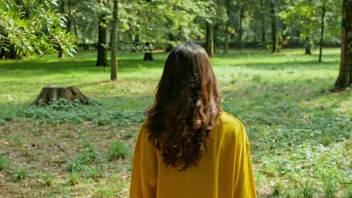 Rear view of woman walking in park