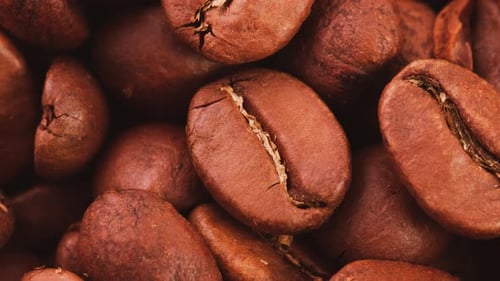 Close-up of Roasted Coffee Beans