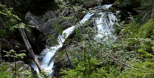 Waterfall Flows Through Verdant Forest Landscape