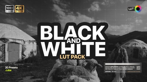 Black & White LUTs