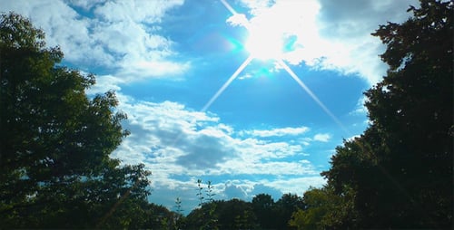 Clouds and Trees Time Lapse
