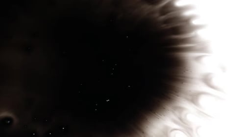 Black Ink Bloom on White Abstract Background