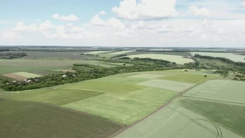 Rural landscape with green fields