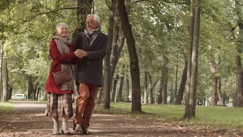 Senior Couple Walking Hand in Hand in Park