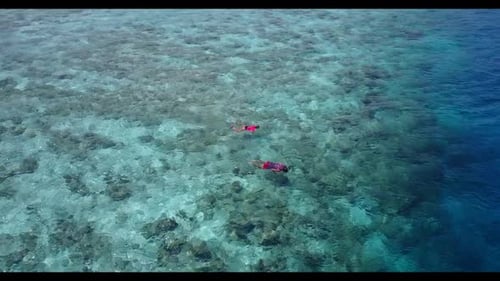 Aerial travel of idyllic island beach wildlife by aqua blue ocean and bright sandy background of a d