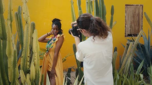 Model Posing for Photographer Amidst Cacti and Yellow Wall
