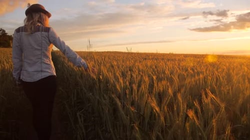 Bohemian woman walking through barley field during sunset