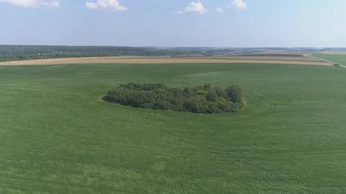 Aerial view of green fields and trees