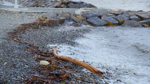 Sea Beach Plastic Pollution
