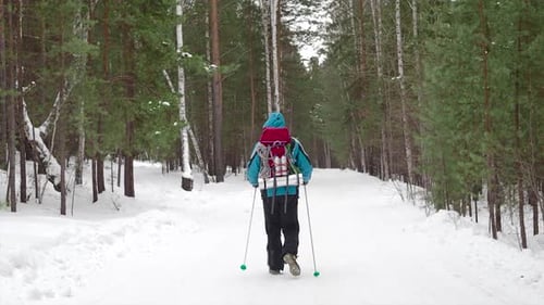 Human with Backpack Walking Throw the Winter Forest