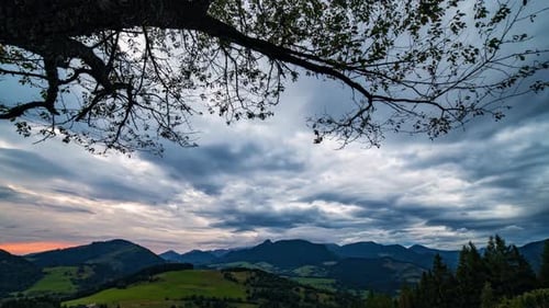 Dramatic Clouds Behind Tree
