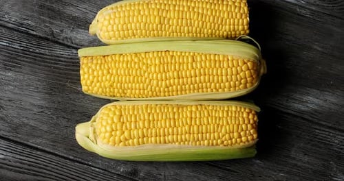 Fresh Yellow Corn on a Rustic Wooden Surface