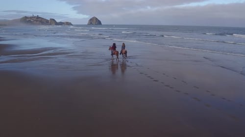 Aerial view of women riding horses at beach