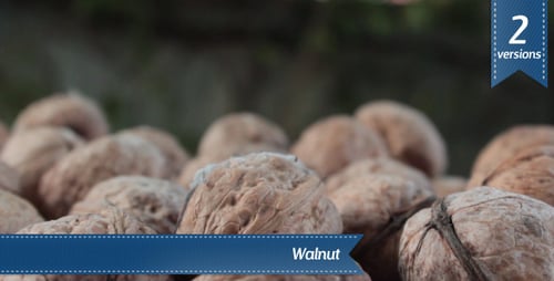 Walnut