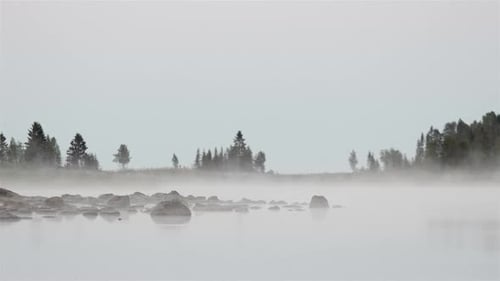 Misty Lake with Forest