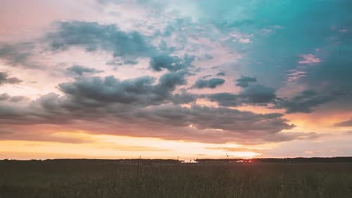 Pradera de primavera al atardecer