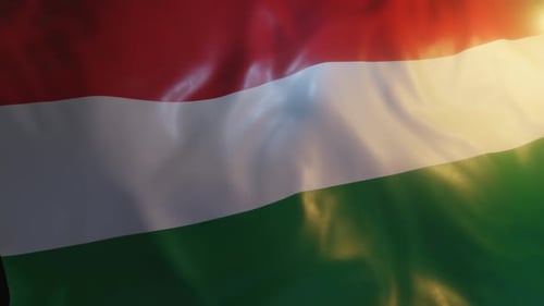 Realistic Waving Hungary National Flag Seamless Loop