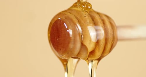 Honey Dripping from a Wooden Honey Dipper