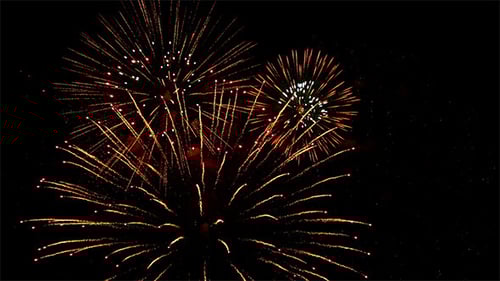 Colorful Fireworks Exploding in the Night Sky