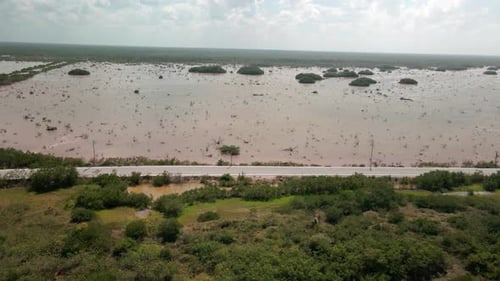 Drone view of Yucatan Shoreline in Mexico