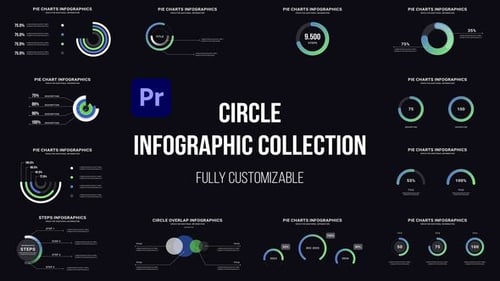 Circle Infographics