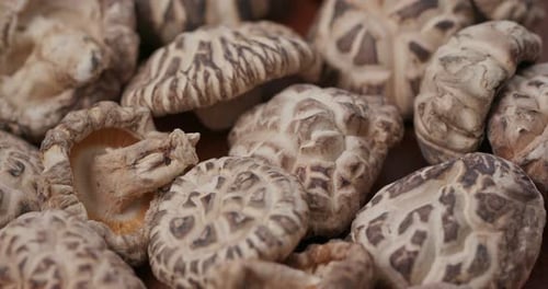 Japanese Dry Mushroom