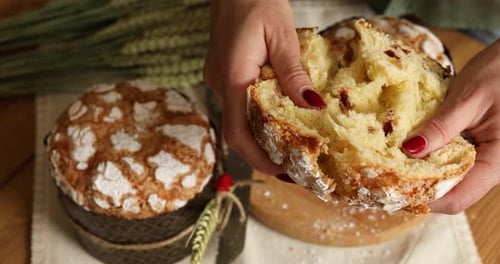 Hands tear sweet fruit Italian easter bread