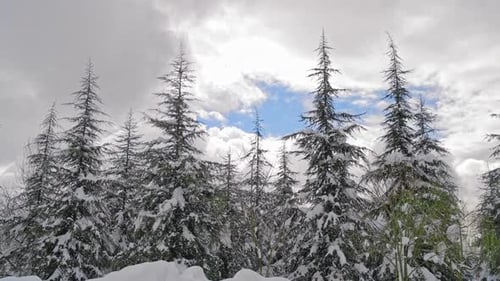 Cloudy Winter Day