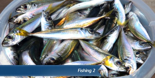 Fishing