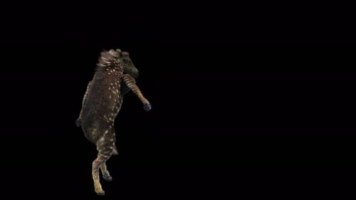 Animated Dancing Deer Creature with Realistic Fur