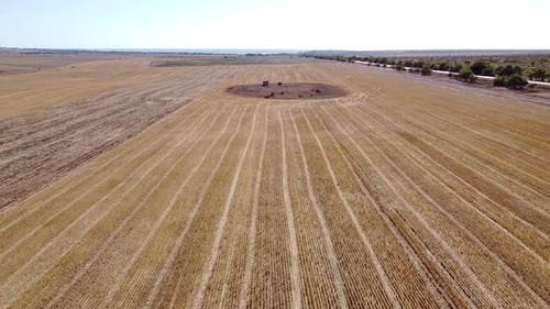 Aerial Survey of a Field with Dried Grass After Harvesting Wheat Grain
