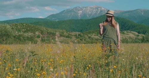 Woman Picks Wildflowers In Meadow