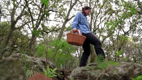 Woman with basket walking through stones in forest