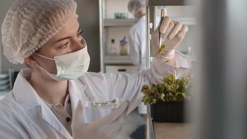 Female Biologist Taking Sample of Plant in Lab