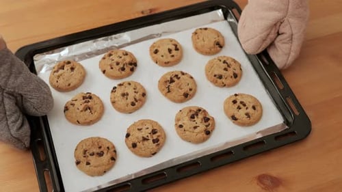 Homemade chocolate chip cookies
