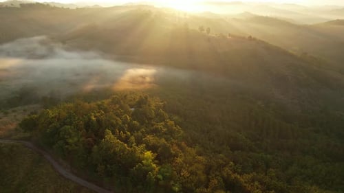 Golden Sunrise Over Rolling Hills Landscape