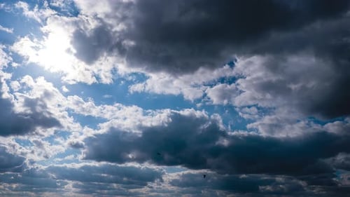 Le
timelapse des cumulus gris se déplace dans le ciel bleu. Les rayons du soleil brillent. Espace cloud