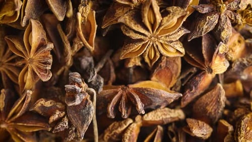 Close Up of Star Anise Food Spice