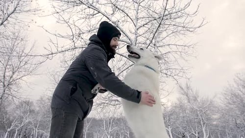 Man Plays With White Dog in Snowy Park