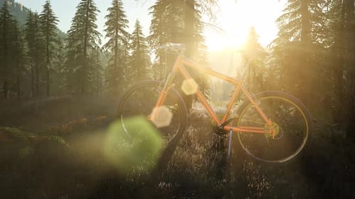 Fahrrad im Bergwald bei Sonnenuntergang