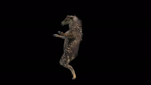 Funny 3D Animated Fawn Dancing with Alpha Channel