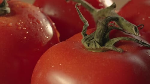 Nahaufnahme von Bio-Tomaten