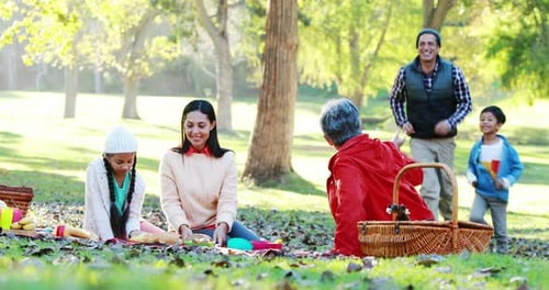 Family having picnic in the park