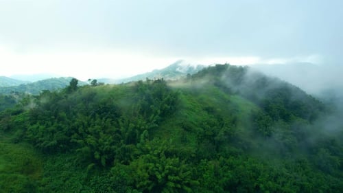 4K Aerial Drone shot flying over beautiful mountain ridge in rural jungle bush forest.
