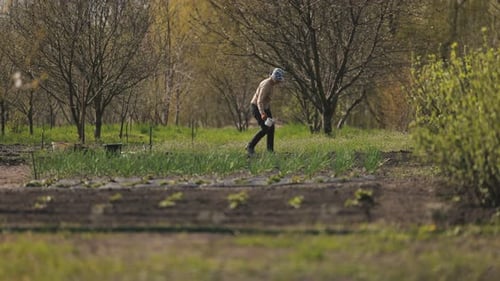 Adult Gardening in Rural Farm Under Daylight
