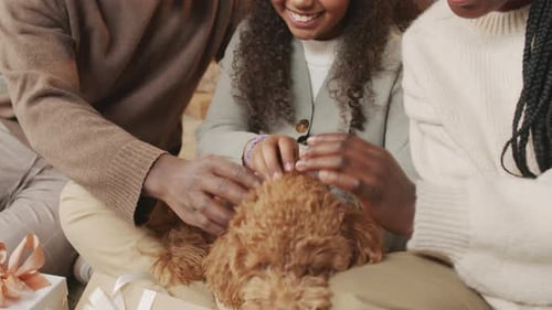 Loving Family Playing with Adorable Puppy at Home