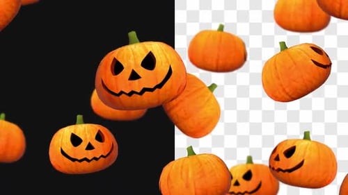 Animated Halloween Pumpkins Floating Loop with Alpha