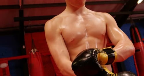 Shirtless Boxer Adjusts Gloves in Training Space