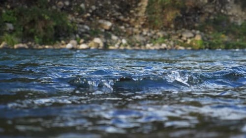Natural Dark Blue Wild River and Rocky Shore Background, Medium