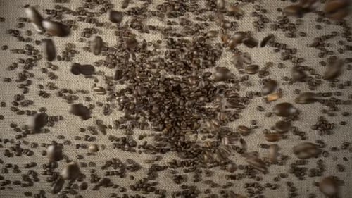 Draufsicht auf braun geröstete Kaffeebohnen, die auf einen Haufen auf ein Sackleinentuch fallen und sich zerstreuen